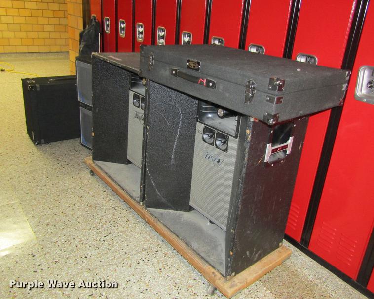 image for item EI9445 Peavey speakers