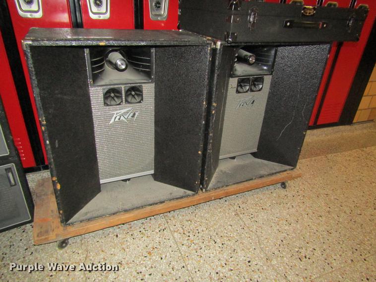 image for item EI9445 Peavey speakers