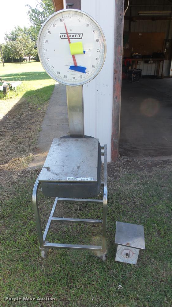 image for item ER9719 (2) scales