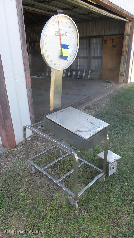 image for item ER9719 (2) scales