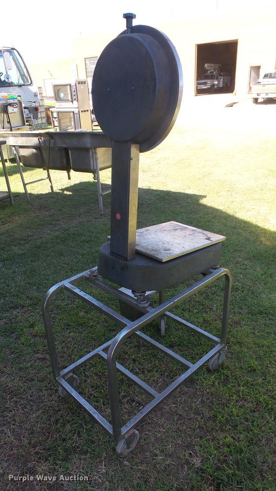 image for item ER9719 (2) scales