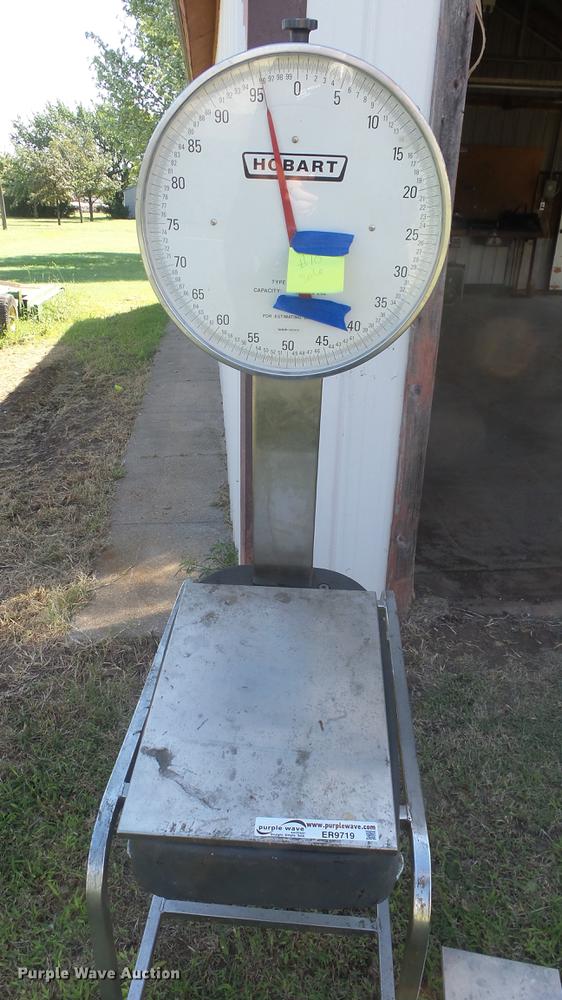 image for item ER9719 (2) scales