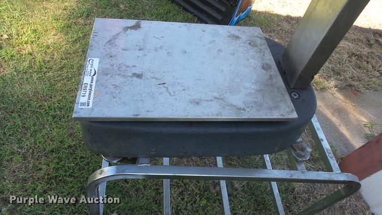 image for item ER9719 (2) scales