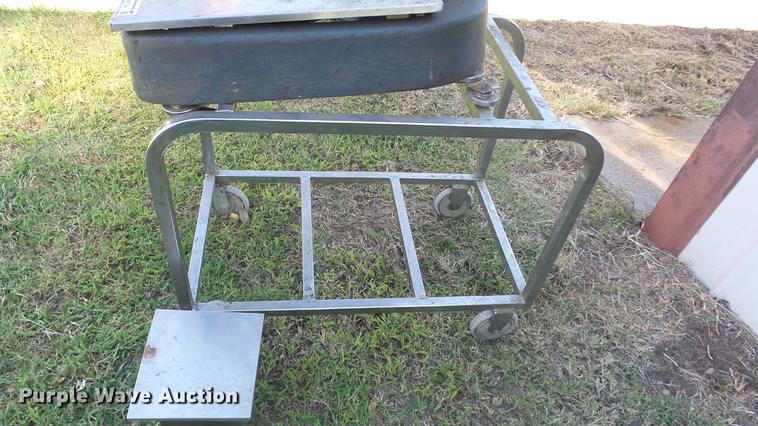 image for item ER9719 (2) scales