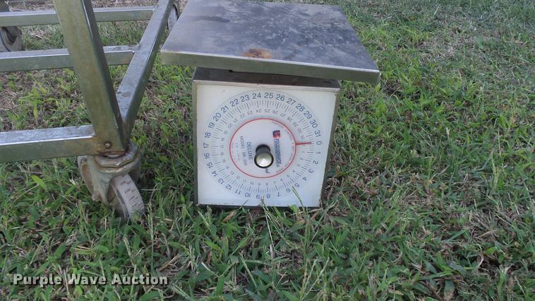 image for item ER9719 (2) scales