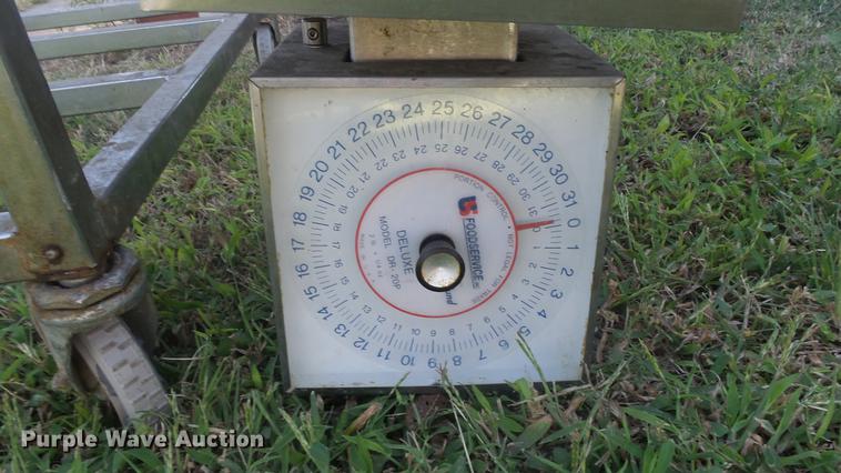 image for item ER9719 (2) scales