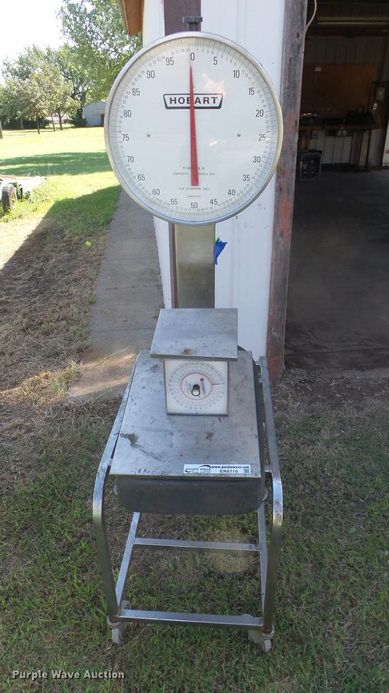 image for item ER9719 (2) scales