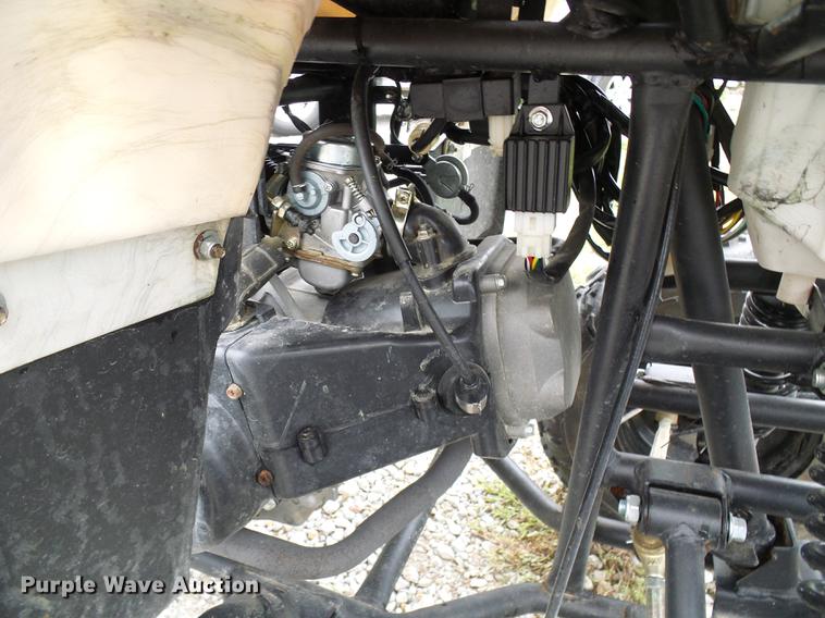 image for item DE5210 2015 Tao Tao 150 ATV