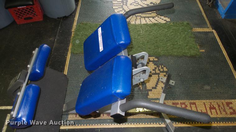 image for item FO9064 Hammer Strength back extension machine