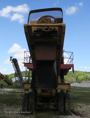 image for item DE3817 GreyStone wash plant