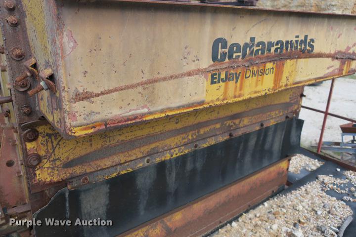 image for item DE3817 GreyStone wash plant