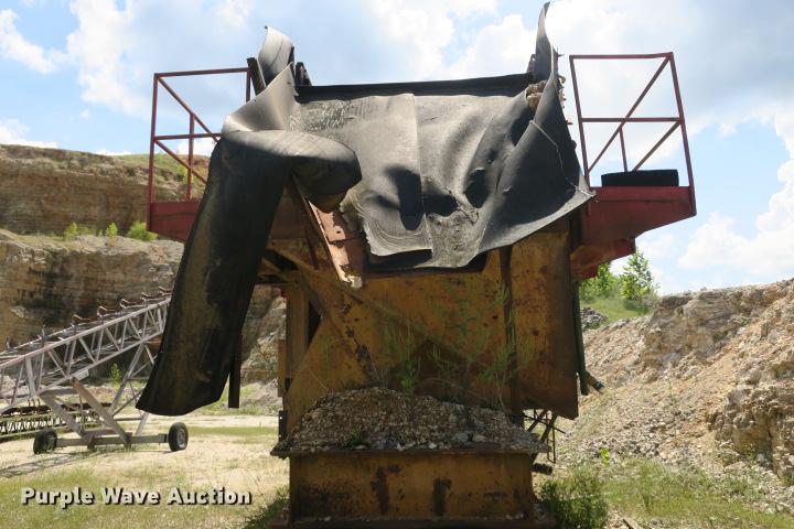 image for item DE3817 GreyStone wash plant