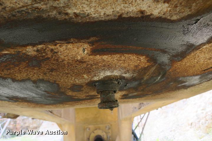 image for item DE3817 GreyStone wash plant