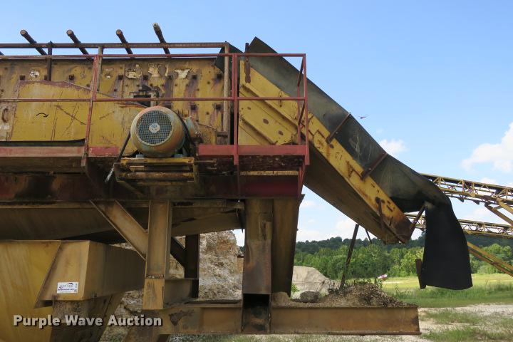 image for item DE3817 GreyStone wash plant