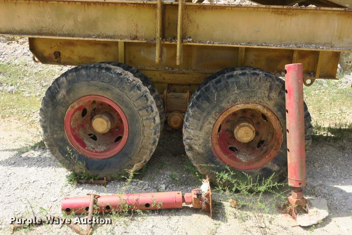 image for item DE3817 GreyStone wash plant