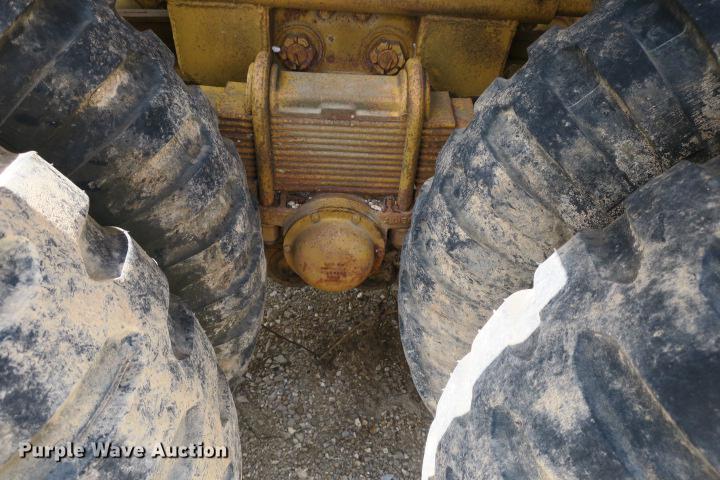 image for item DE3817 GreyStone wash plant