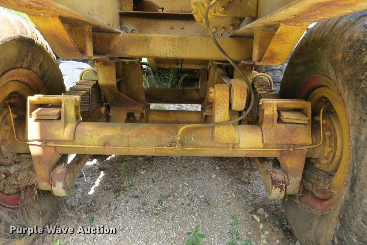 image for item DE3817 GreyStone wash plant