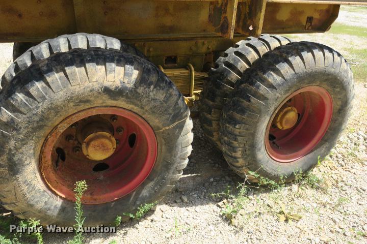 image for item DE3817 GreyStone wash plant