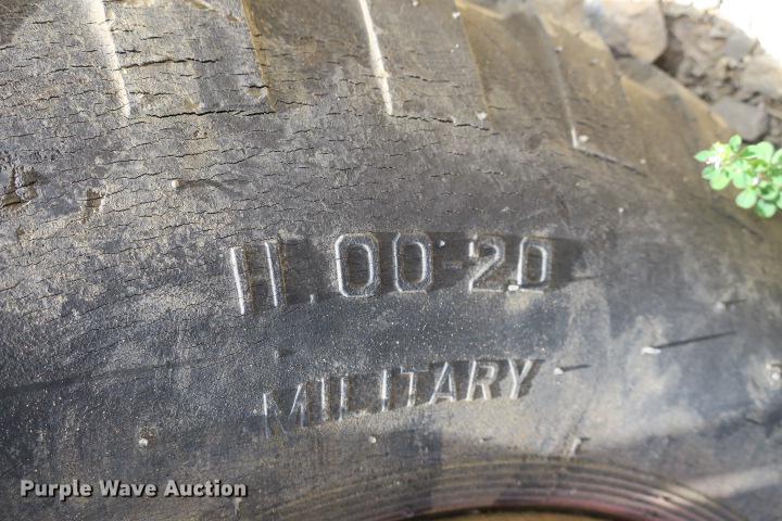 image for item DE3817 GreyStone wash plant