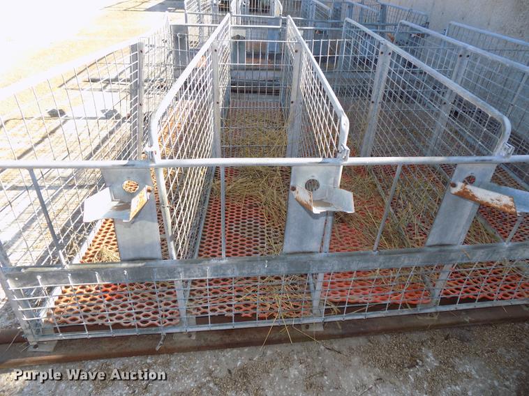 image for item DZ9541 (2) 10 calf nursing pens