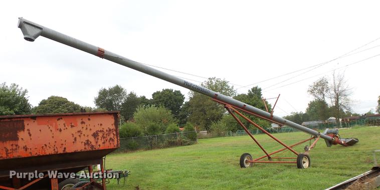 image for item FT9881 Hutchinson grain auger