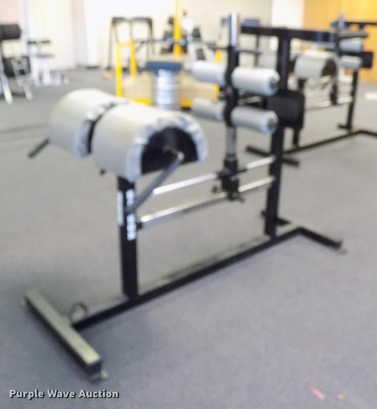 image for item FQ9076 Samson exercise rack