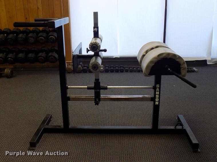 image for item FQ9076 Samson exercise rack