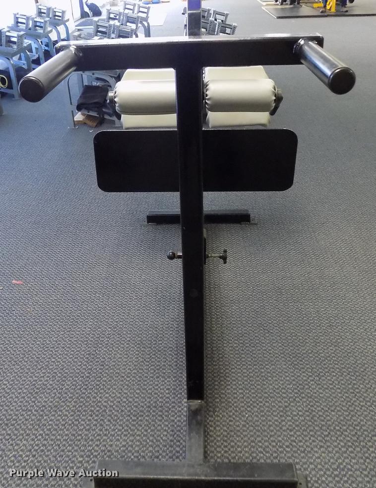 image for item FQ9076 Samson exercise rack