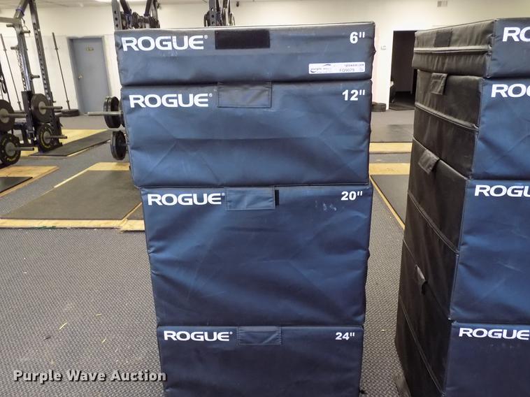 image for item FQ9079 Rogue plyometric block set