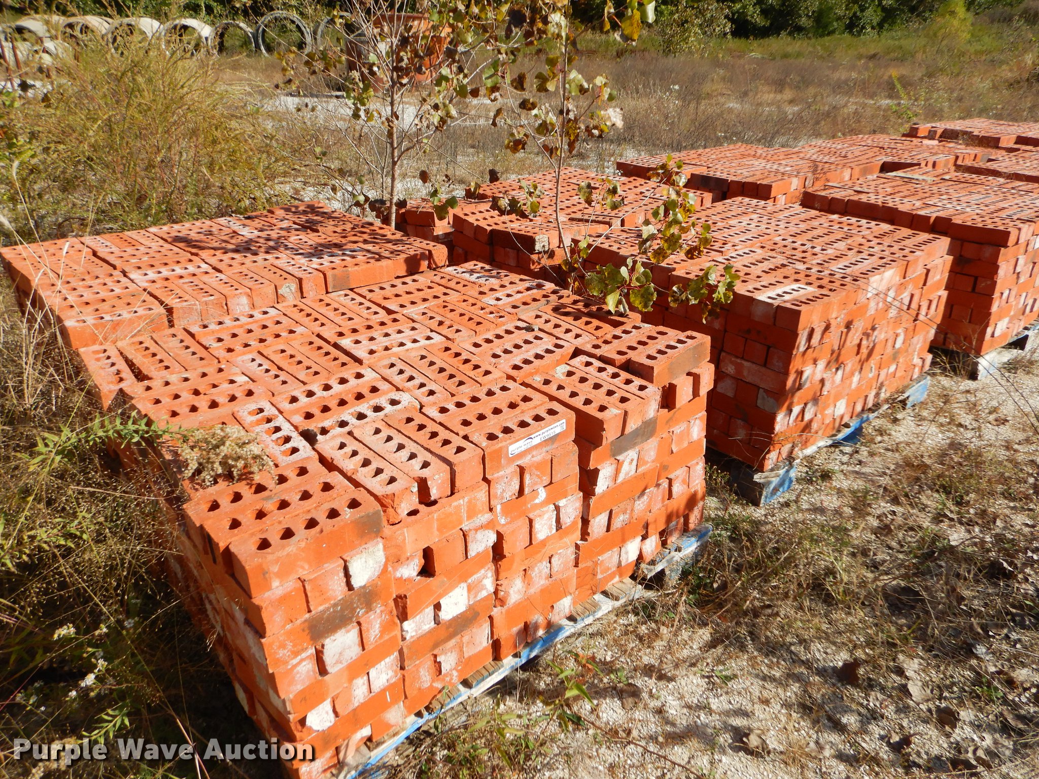 Approximately 10 pallets of brick in Joplin, MO Item EW9515 sold