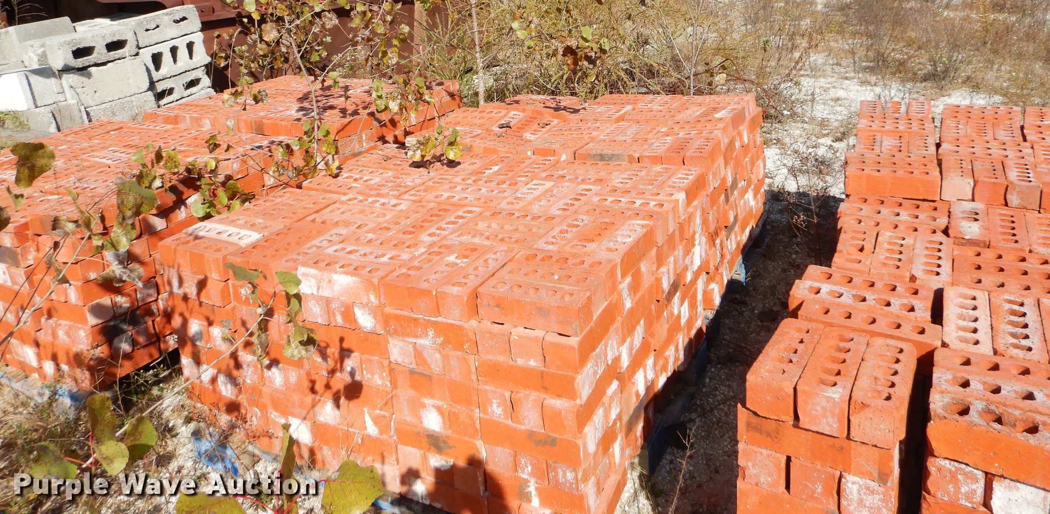 Approximately 10 pallets of brick in Joplin, MO Item EW9515 sold