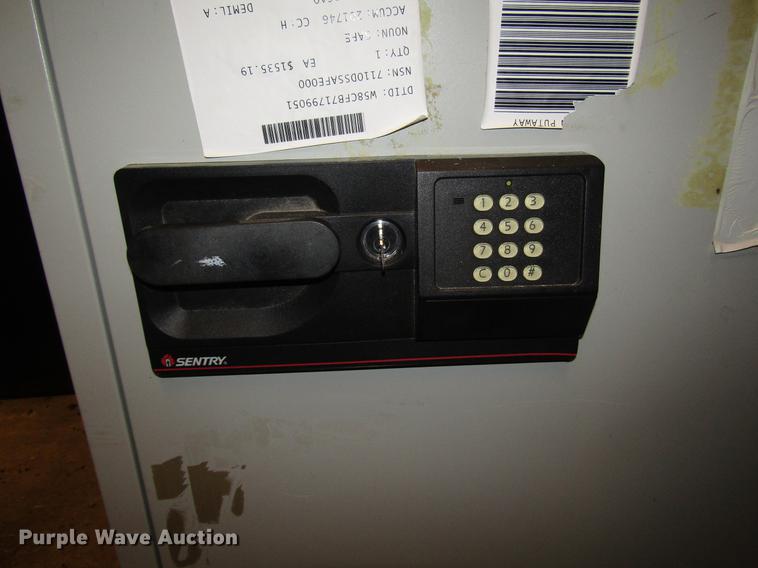 image for item DD3816 Sentry safe
