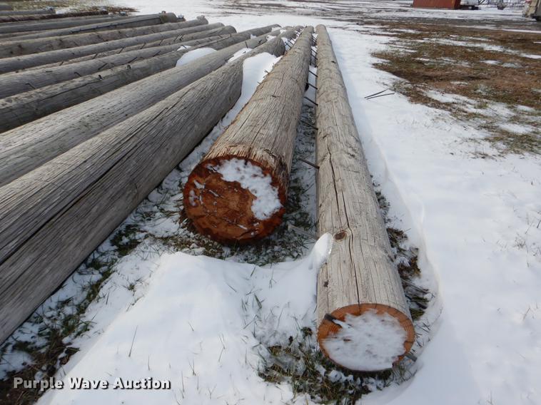 image for item DD8988 (16) wood light poles