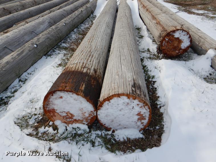 image for item DD8988 (16) wood light poles