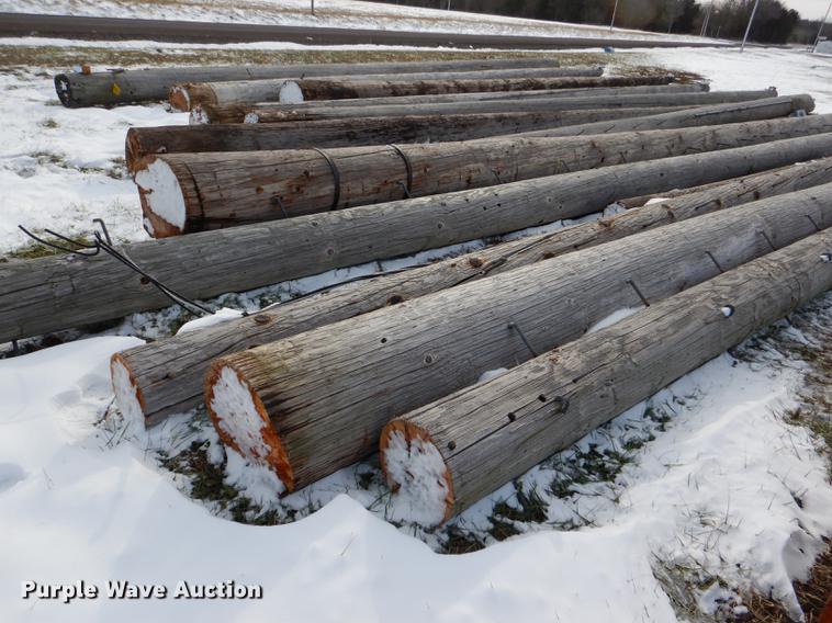 image for item DD8988 (16) wood light poles