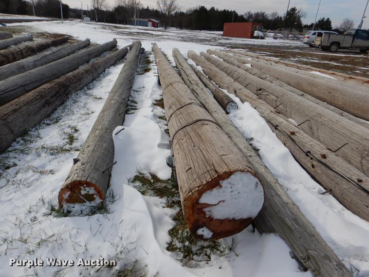 image for item DD8988 (16) wood light poles