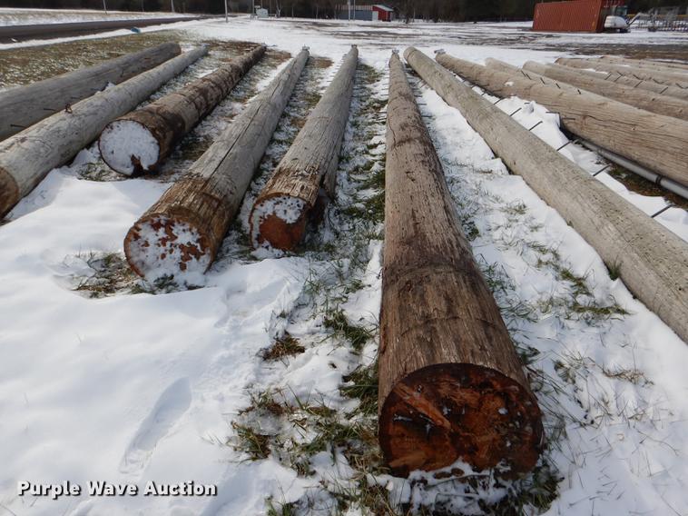 image for item DD8988 (16) wood light poles