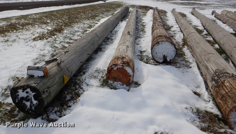 image for item DD8988 (16) wood light poles