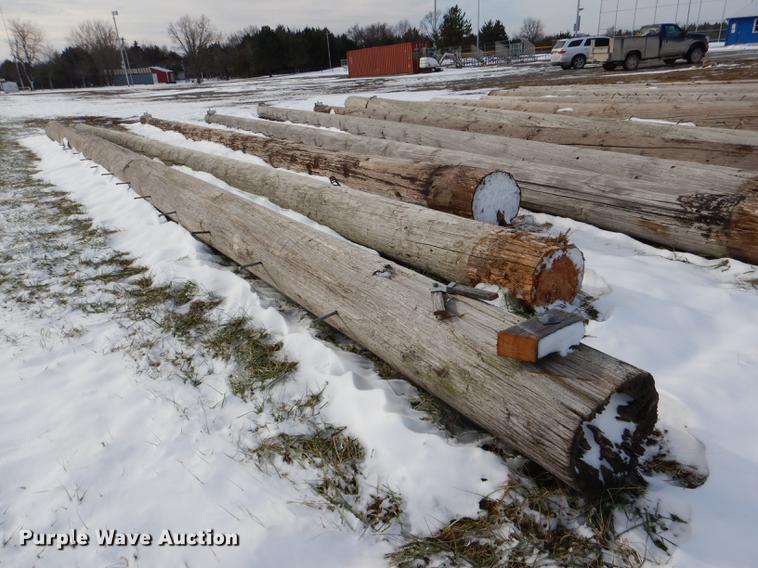 image for item DD8988 (16) wood light poles