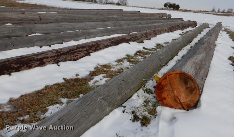 image for item DD8988 (16) wood light poles