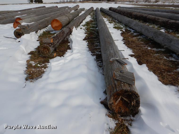 image for item DD8988 (16) wood light poles