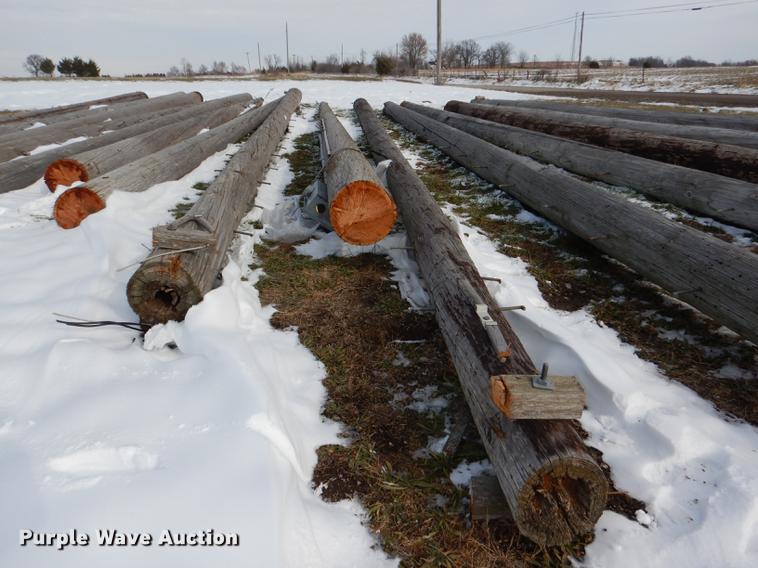 image for item DD8988 (16) wood light poles