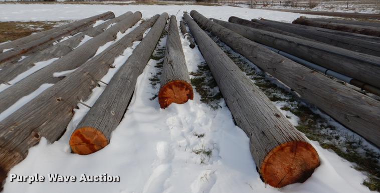 image for item DD8988 (16) wood light poles