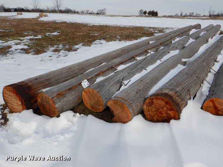 image for item DD8988 (16) wood light poles