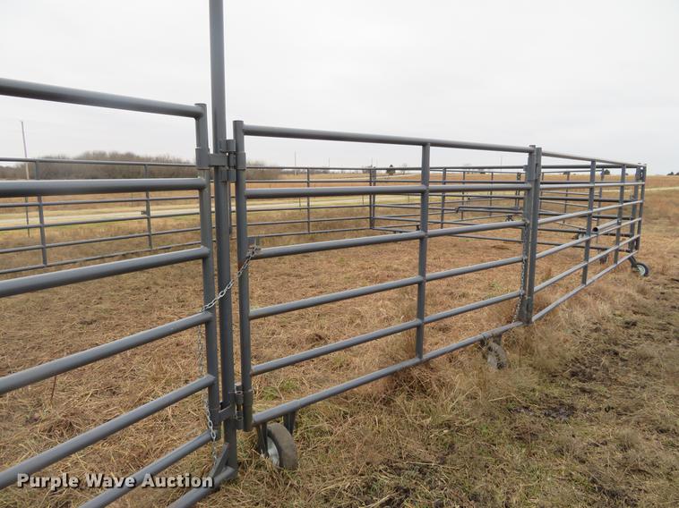 image for item DE6563 Rawhide corral