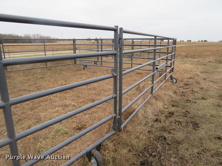 image for item DE6563 Rawhide corral