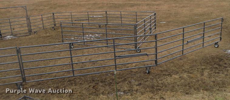 image for item DE6563 Rawhide corral