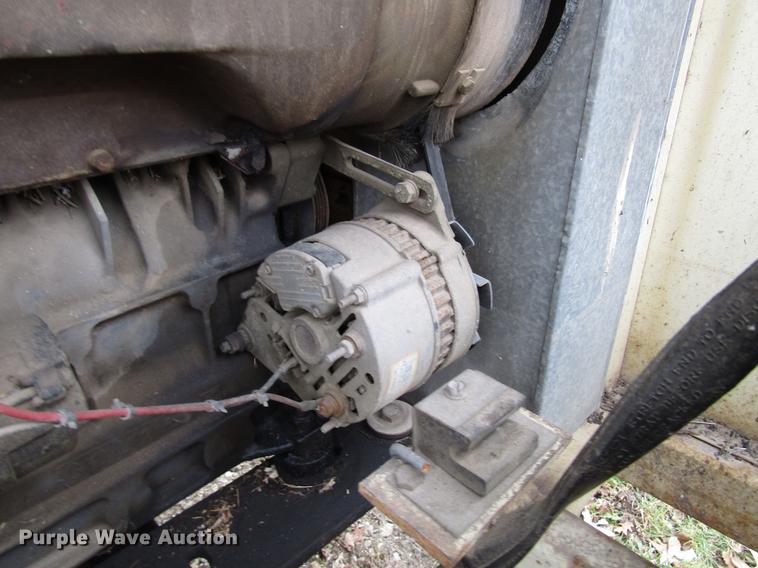 image for item DD3870 (2) light plants