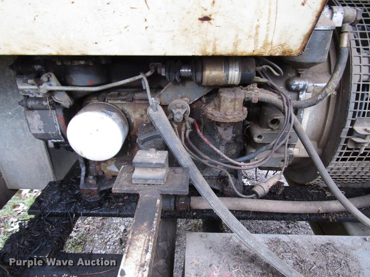 image for item DD3870 (2) light plants