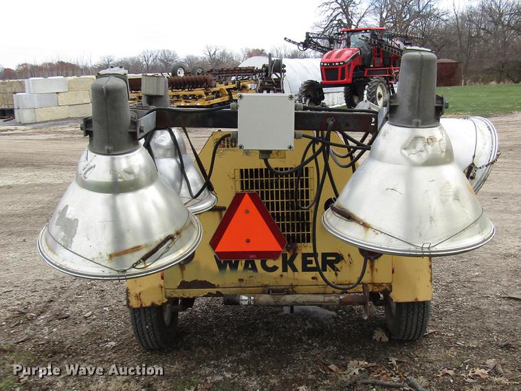 image for item DD3870 (2) light plants